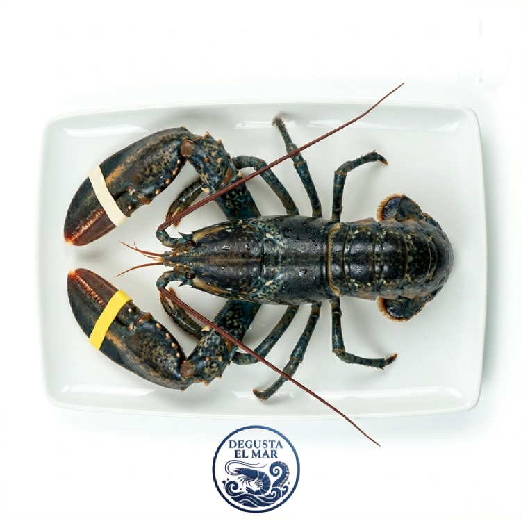 Bogavante