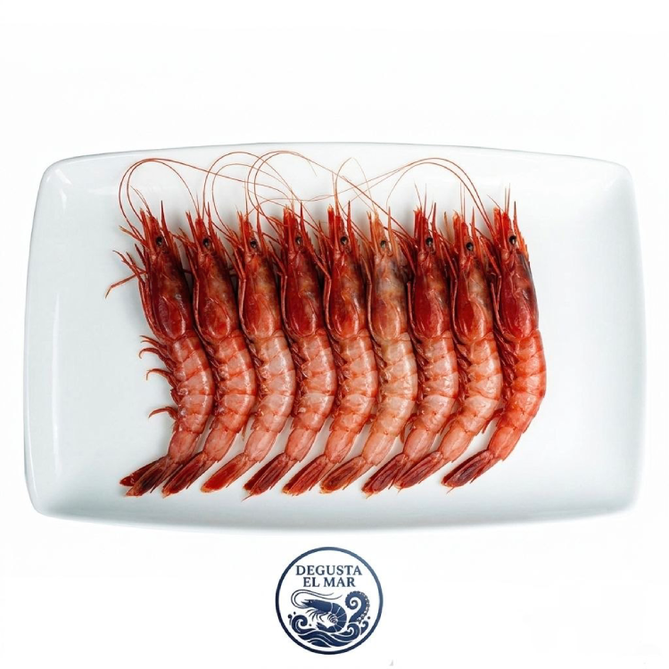 Gamba Roja