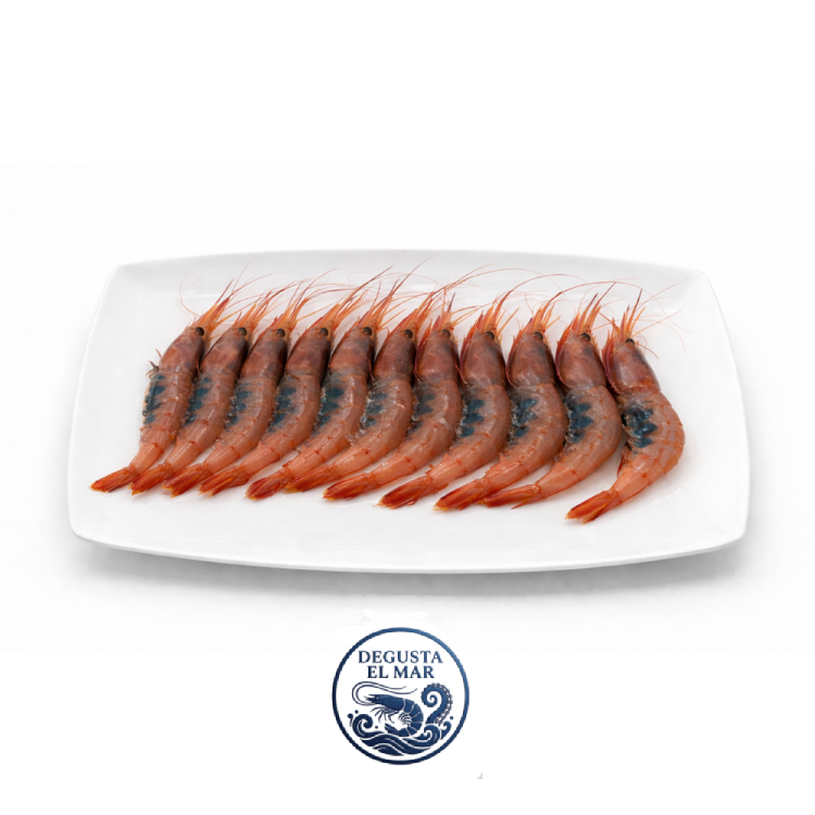 Quisquilla